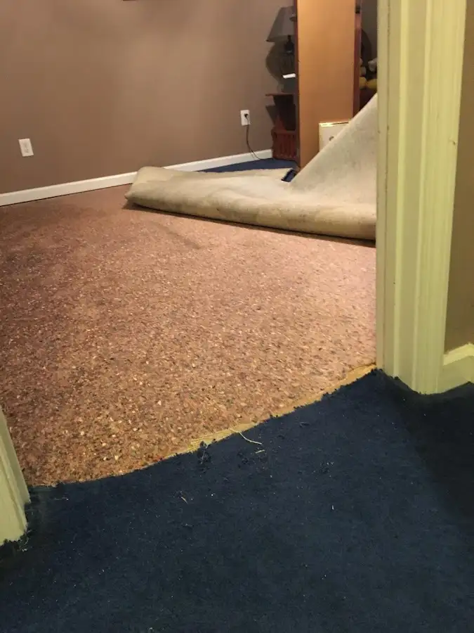 Carpet pad removal revealing water damage during Drying & Dehumidification in Twinsburg